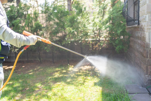 Lawn Pest Control in St David, AZ